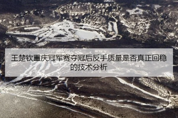 王楚钦重庆冠军赛夺冠后反手质量是否真正回稳的技术分析