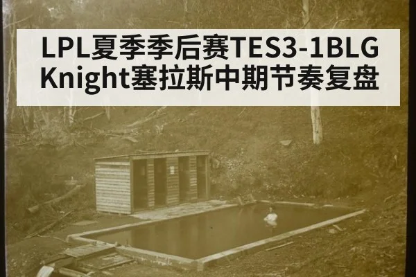 LPL夏季季后赛TES3-1BLG Knight塞拉斯中期节奏复盘