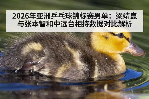 2026年亚洲乒乓球锦标赛男单：梁靖崑与张本智和中远台相持数据对比解析