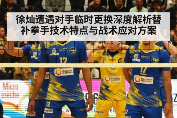 徐灿遭遇对手临时更换深度解析替补拳手技术特点与战术应对方案